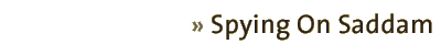 spying