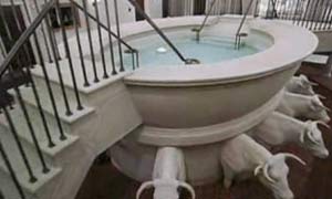 There is a baptismal font in every temple where Mormons are not just baptizing family ancestors, but  millions of other dead who still might be saved.