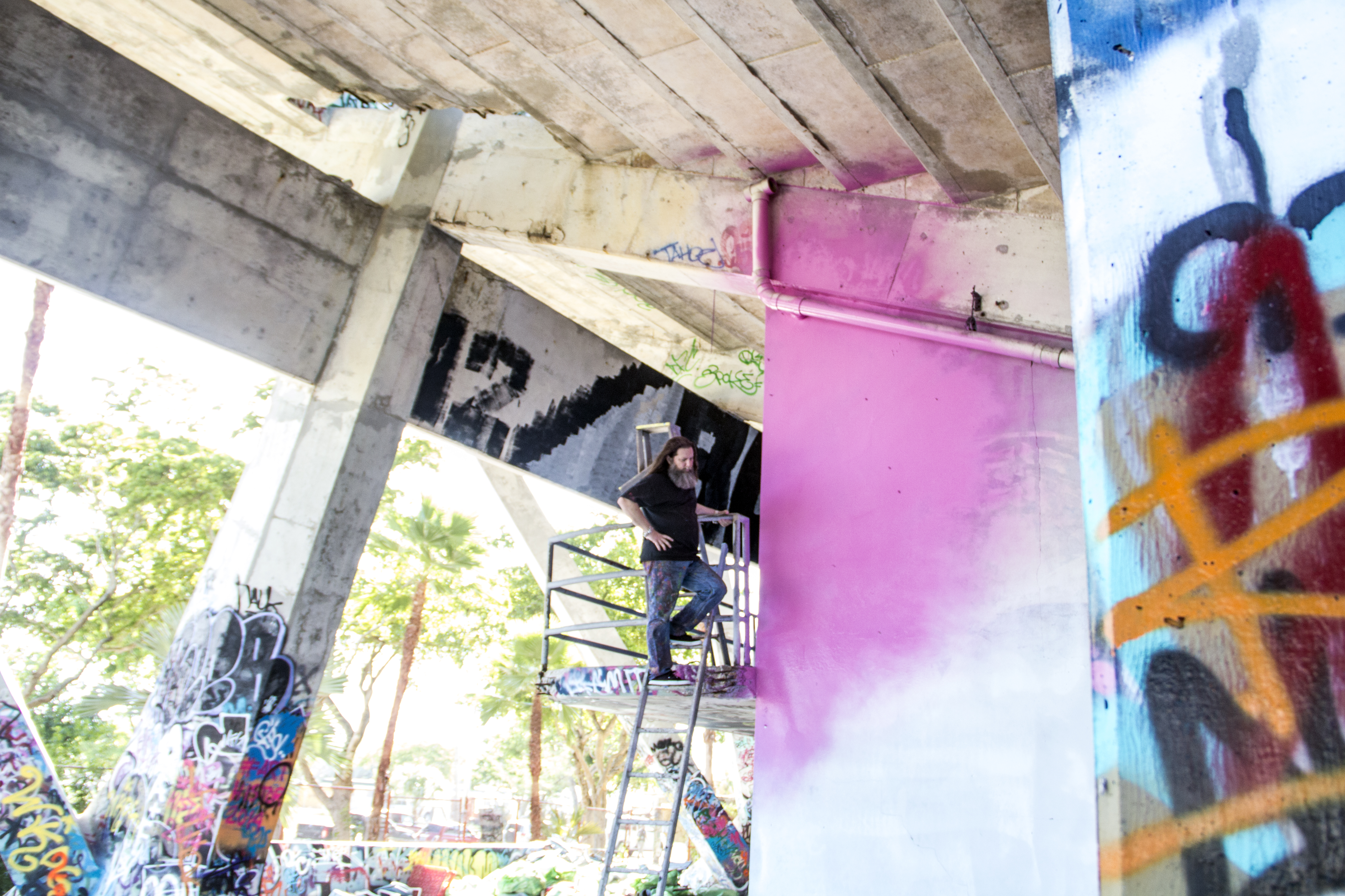 IMG_1538.jpg IMG_1538.jpg