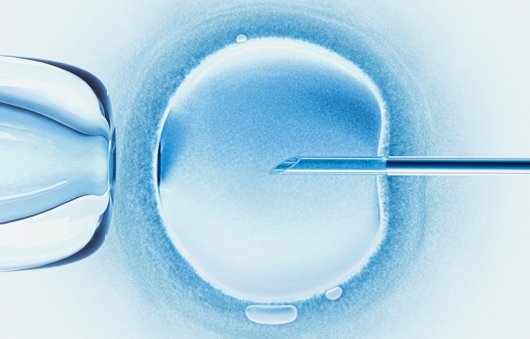 This illustration shows in vitro fertilization, in which a single sperm is injected into the cytoplasm of an egg. Image by Brand X Pictures and Getty Images.