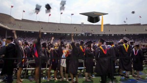 DEGREE OF VALUE_Monitor