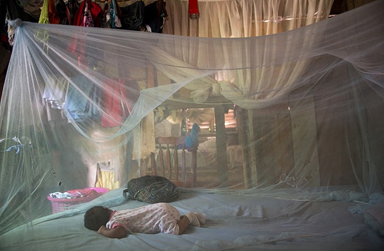 Chikungunya virus hit the  Dominican Republic in April 2014. Photo by Luz Sosa/Pan American Health Organization/via Flickr