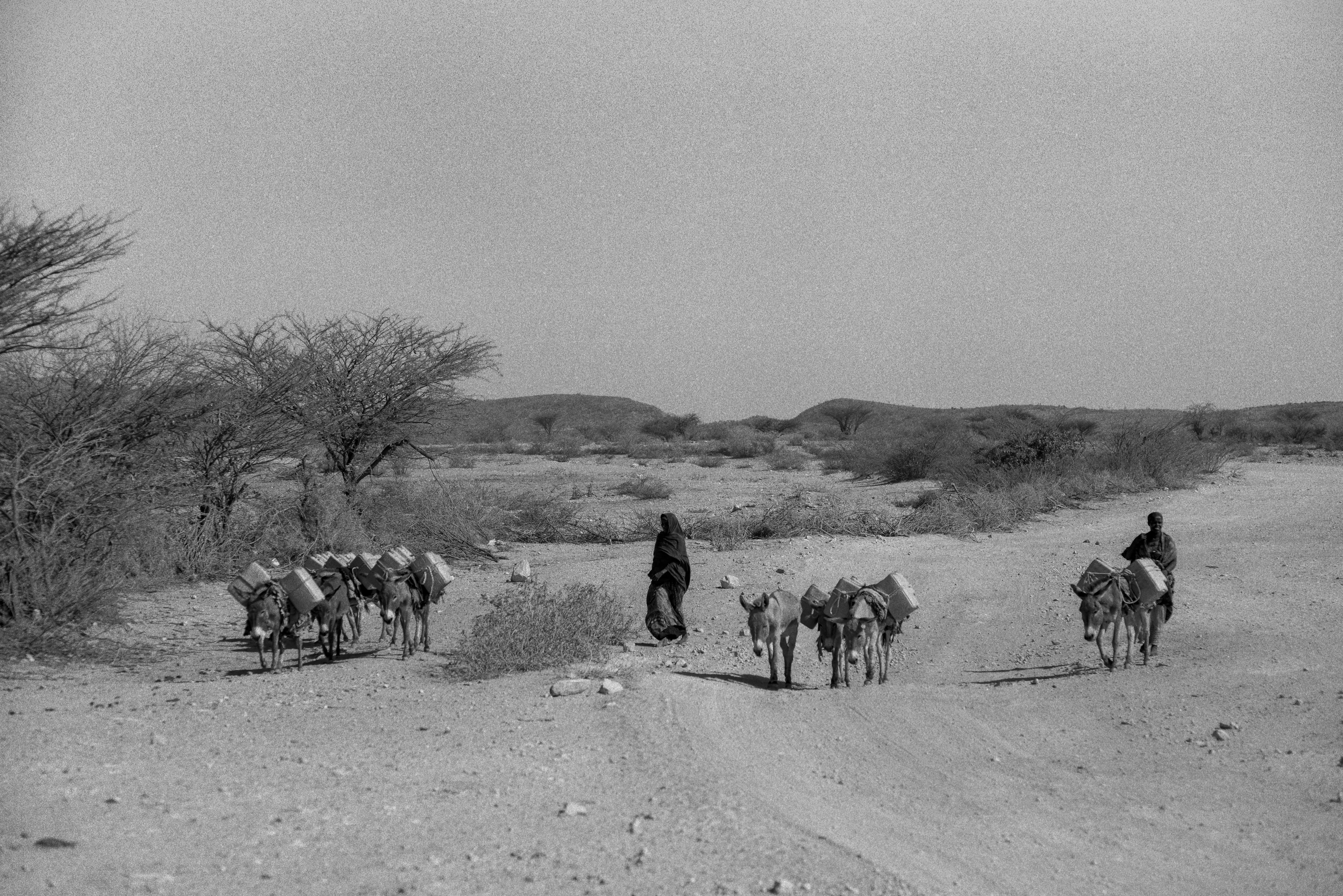 Women walk for miles in search of water in drought-stricken Somaliland in Somalia. Photo by Sebastian Rich for UNICEF