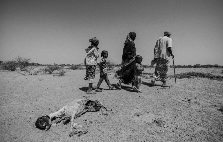 A family passes one of many dead goats as they look for water in Somaliland. Photo by Sebastian Rich