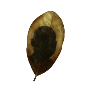 Leaf Silhouette