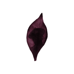 Leaf Silhouette