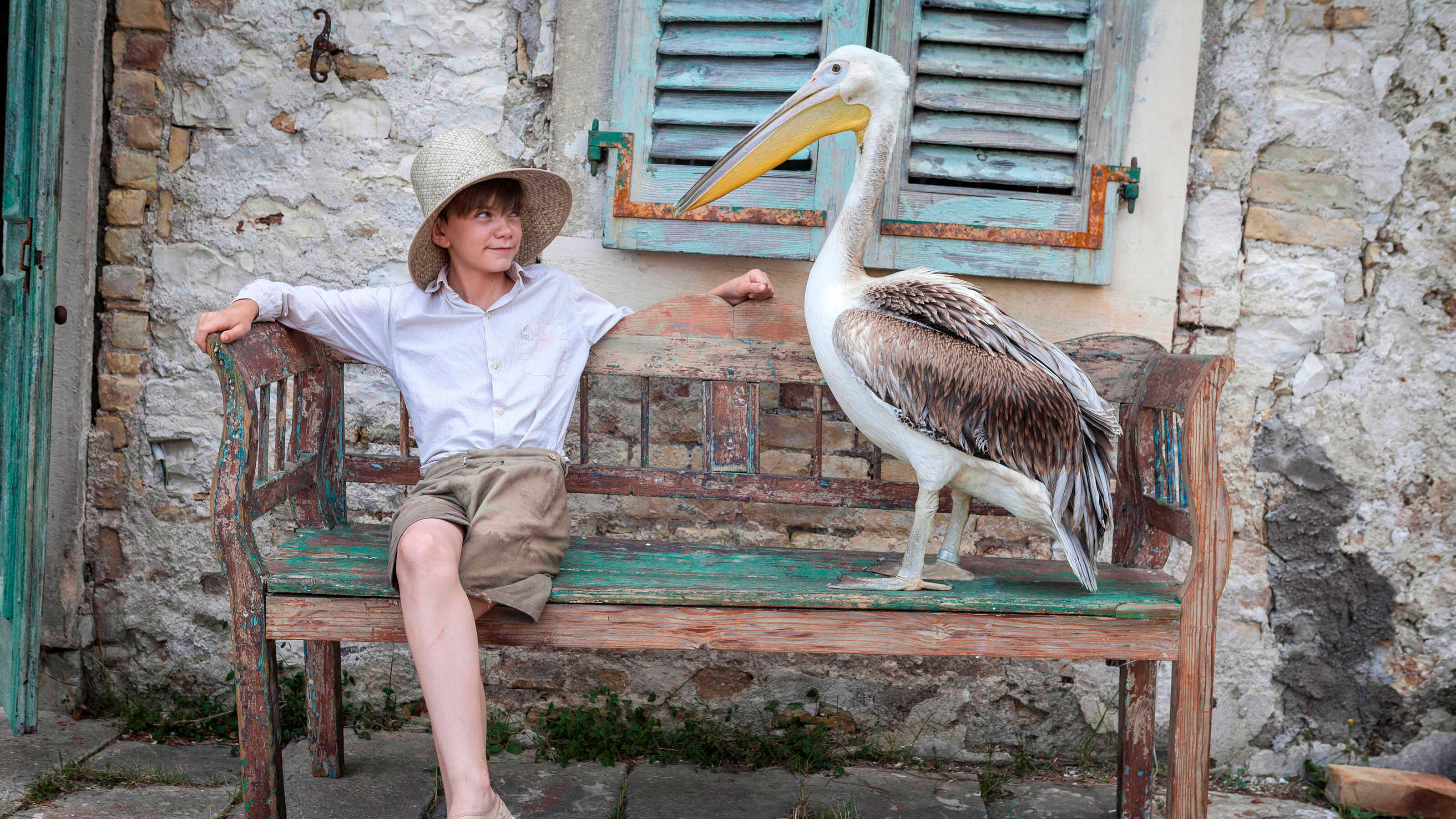 The Durrells in Corfu The Durrells in Corfu Animals on Set