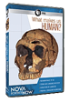 What Makes Us Human?