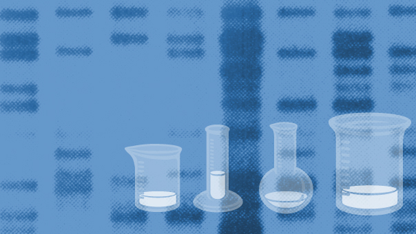 nova official website create a dna fingerprint