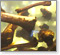 The Extinction Debate