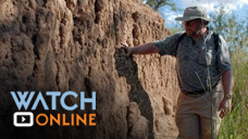 Watch online