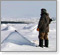 On Thin Ice in the Bering Sea