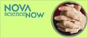 NOVA scienceNOW: August 6, 2008
