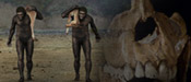 Becoming Human