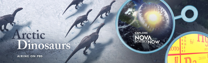 Airing on PBS: Arctic Dinosaurs