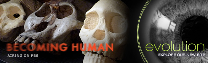 Airing on PBS: Becoming Human