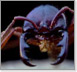 Lord of the Ants