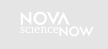 NOVA Science Now