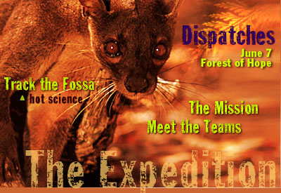 Expedition