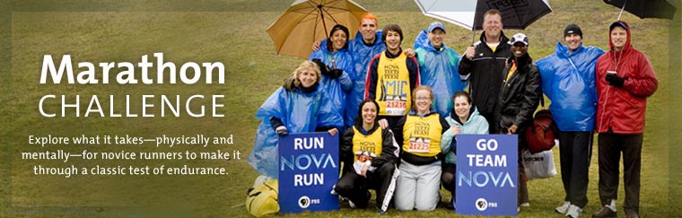 Marathon Challenge: Explore what it takes -- physically and mentally -- for novice runners to make it through a classic test of endurance. Airs on PBS October 30, 2007