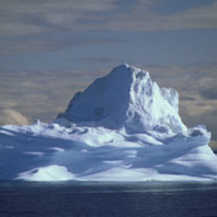 Iceberg