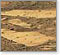 Life on Mars
