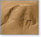 Does Mars Have Life?