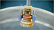 Chapter 8a thumbnail