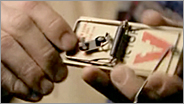 Chapter 8b thumbnail