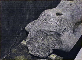 Closeup photo of 1001