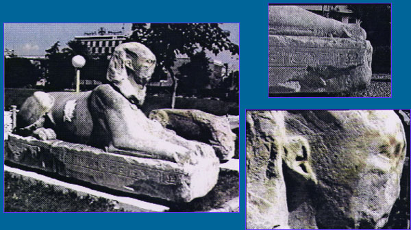 Three photos of 1008 on land; two closeups