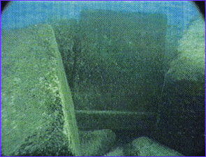Photograph of 1020 underwater.