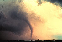 Tornado