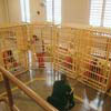 The New Asylums