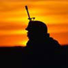 Soldier's Haert