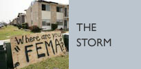 The Storm
