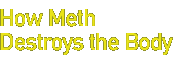 how meth destroys the body