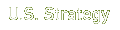 U.S. National Strategy