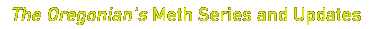 the oregonian's meth series