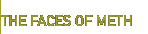 meth in the body
