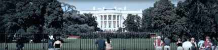 the white house