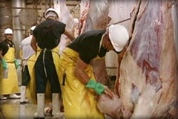 photo of cutting meat