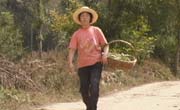 China's drastic economic reforms began years ago in the vast countryside. In Chestnut Flower Village, reform has transformed two peasants' lives: one has grown wealthy, the other  is slipping into poverty.