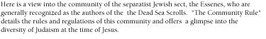 Here is a view into the community of the separatist Jewish sect, the Essenes, who are generally recognized as the authors of the  the Dead Sea Scrolls.  'The Community Rule' details the rules and regulations of this community and offers  a glimpse into the diversity of Judaism at the time of Jesus.