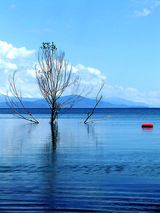 Will return soon...