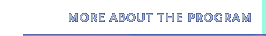More About the Program