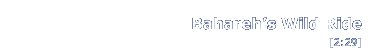 Bahareh's Wild Ride