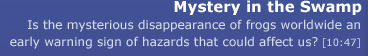 Mystery in the Swamp