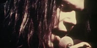 Neil Young: Video: Live at Massey Hall 1971