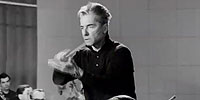 Karajan, Or Beauty as I See It: Preview of <em>Karajan, Or Beauty as I See It</em>